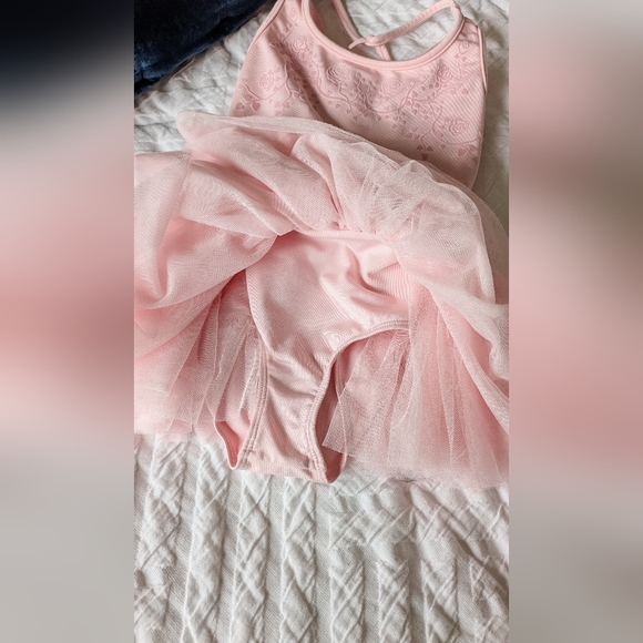 EUC Bloch 6x-7 Pink Tutu with Roses - Picture 3 of 6